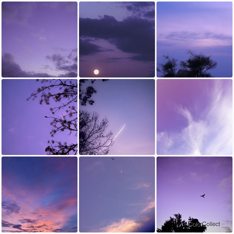 A ColorCollect photo montage in the contact sheet frame style