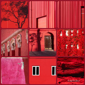 A Crimson photo montage