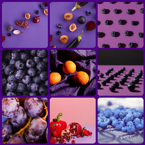 A Indigo photo montage