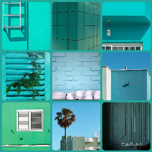 A Mint photo montage
