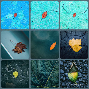A Slate photo montage
